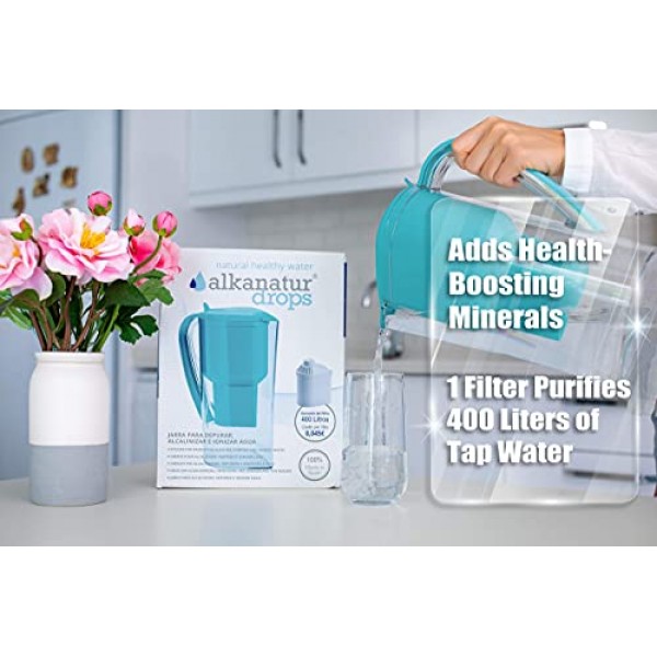 Alkanatur 알칼리성 물 투수 필터 연간 팩 번들(필터 4개 포함)(불화물, 염소, 중금속 등 필터) - 알칼리화 및 이온화된 수돗물 - 높은 pH 알칼리화기