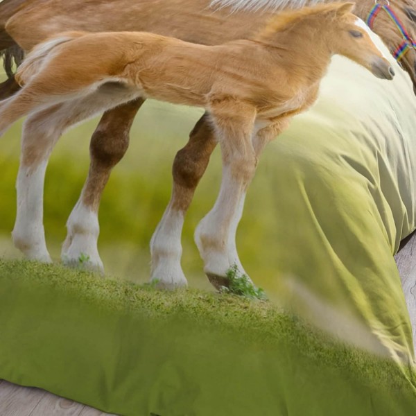 ESPiCO Bed Linen Trendy Bedding Horse Pony Foal Haflinger Paddock Flowers Green Brown Renforcé, 크기: 135 cm x 200 cm 135 cm x 200 cm 006