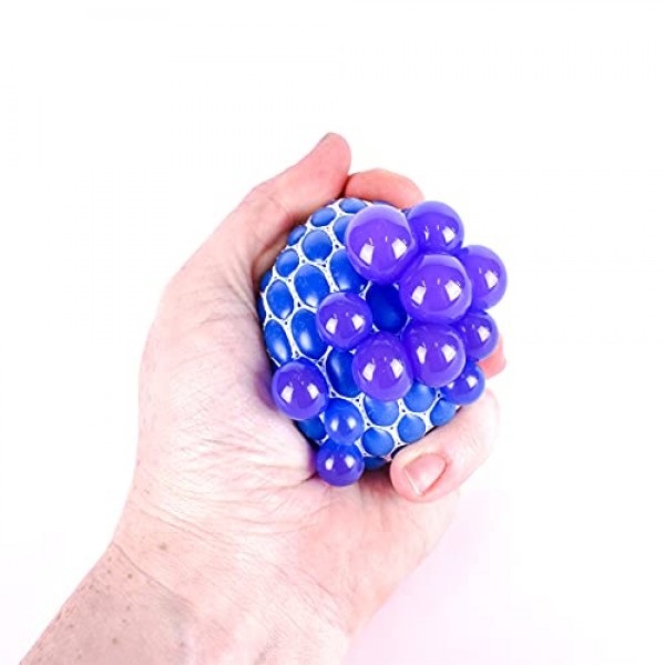 Sunny Days Entertainment 24피스 Fidget Box - 보관 용기가 있는 감각 장난감 - Giggle Zone