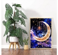 HKLIOPU 성인 크로스 스티치 키트 11 CT 인쇄 크로스 스티치 키트 양각 자수 키트 성인 벽 예술 홈 장식 16 