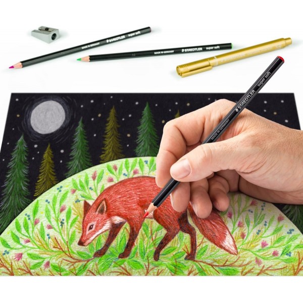 STAEDTLER 검정/흰색 세트, 매우 부드러운 색연필 12개, 금속 마커 4개, 금속 숫돌 1개 및 단계별 지침이 포함된 전체 세트, 61 149C, 17개 세트 검정/흰색 도면