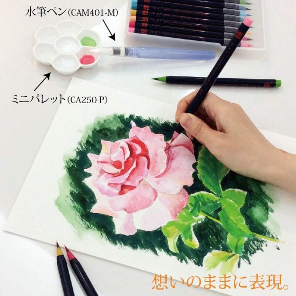 아카시야 SA-300 Fude Pinselstift mit Shin-Mouhitsu-Tinte 봄 5색 세트