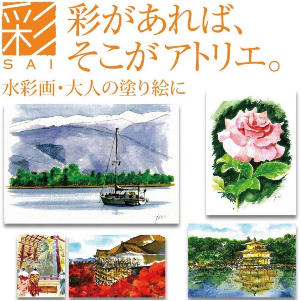 아카시야 SA-300 Fude Pinselstift mit Shin-Mouhitsu-Tinte 봄 5색 세트