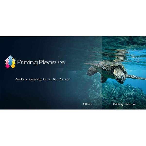 Printing Pleasure 2 XL(전체 세트) Deskjet D2545 D2660 D5560 F2420 F2480 F4280 F4580 Photosmart C4780 C4680용 300XL용 재생 잉크 카트리지 교체 - 블랙/컬러, 고용량 1 SET