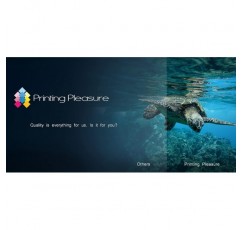 Printing Pleasure 2 XL(전체 세트) Deskjet D2545 D2660 D5560 F2420 F2480 F4280 F4580 Photosmart C4780 C4680용 300XL용 재생 잉크 카트리지 교체 - 블랙/컬러, 고용량 1 SET