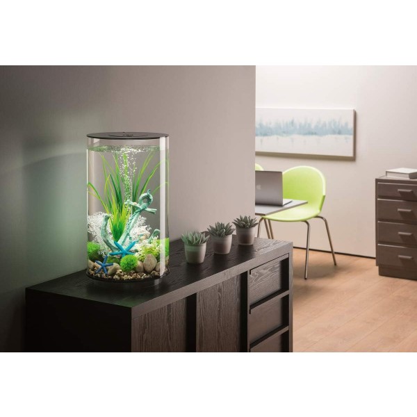 biOrb 72066 TUBE 30 LED 블랙 - LED 조명, 필터 시스템 및 세라믹 바닥이 있는 아크릴 유리로 만든 30리터 360도 장식 수족관 전체 세트 블랙 1개(1팩)