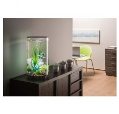biOrb 72066 TUBE 30 LED 블랙 - LED 조명, 필터 시스템 및 세라믹 바닥이 있는 아크릴 유리로 만든 30리터 360도 장식 수족관 전체 세트 블랙 1개(1팩)