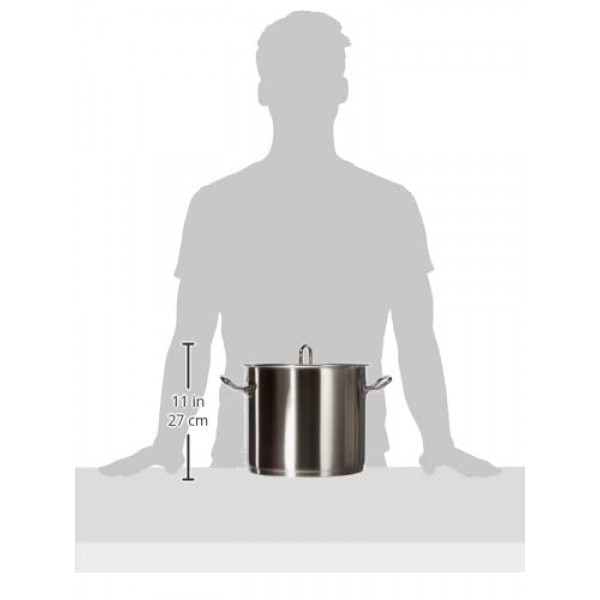휘슬러 오리지널-프로피 컬렉션 2019 스테인리스 스틸 톨 스톡 포트, 9.6쿼트