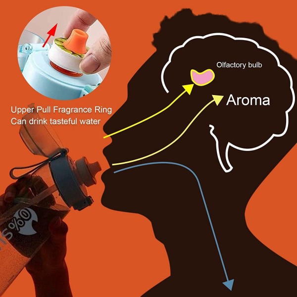 Air Flasch up Air Bottle Starter Set Drink Bottle 650ML with Piece Flavored Pods Generic Water Bottle Bottle Starter Set for Gym Fitness, School (Purple)