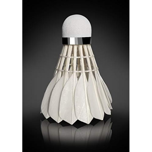 EAGLES 배드민턴 버디 깃털 베드민턴 셔틀콕 - 실내 및 실외 경기용 버디 공 ~ 매우 안정적이고 내구성이 뛰어난 셔틀 공(파란색)