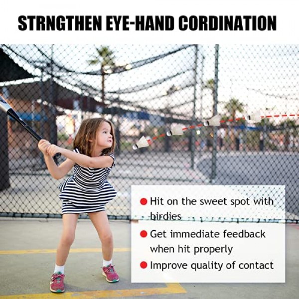 EAGLES 배드민턴 버디 깃털 베드민턴 셔틀콕 - 실내 및 실외 경기용 버디 공 ~ 매우 안정적이고 내구성이 뛰어난 셔틀 공(파란색)