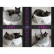 S.HE CAT FURNITURE I MODERN 2in1 다기능 CAT BED + SCRATCHING BOARD [수면, 스크래칭, 놀이용] SCRATCHING FURNITURE + 도넛 쿠션 I 컬러 WHITE WHITE / LIGHT GREY로 구성된 고양이 소파