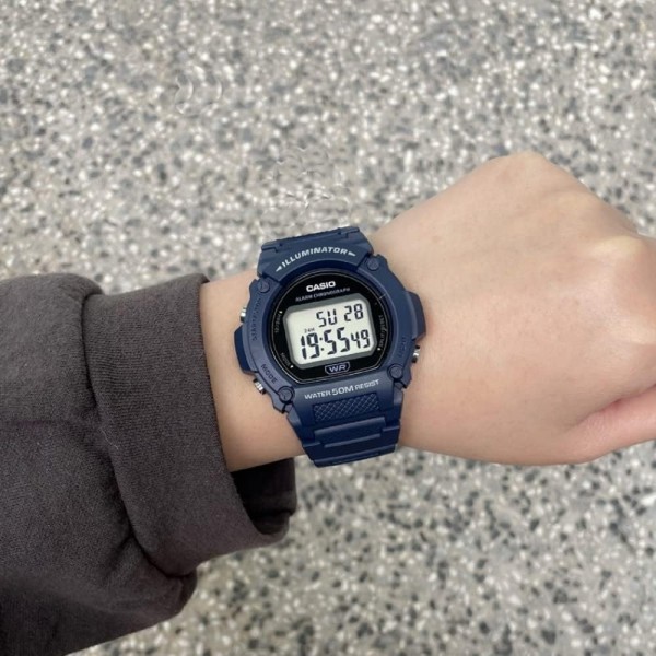 카시오 시계 W-219H-2AVEF