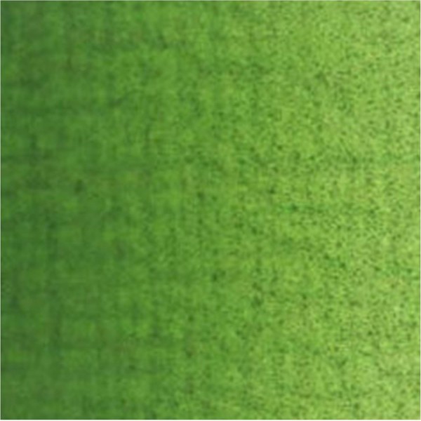 Van Gogh 2086233 Ölfarbe SAP Grün, Sap Green, One Size, 200 밀리리터