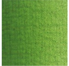 Van Gogh 2086233 Ölfarbe SAP Grün, Sap Green, One Size, 200 밀리리터