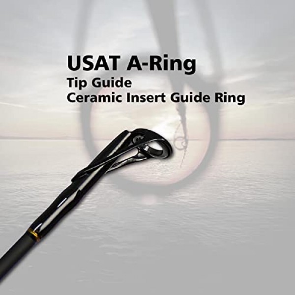 Fiblink 서핑 낚싯대 2개/3개 휴대용 여행용 스피닝 로드 바닷물 서핑 로드(9'/10'/10'6/12'/13'3)