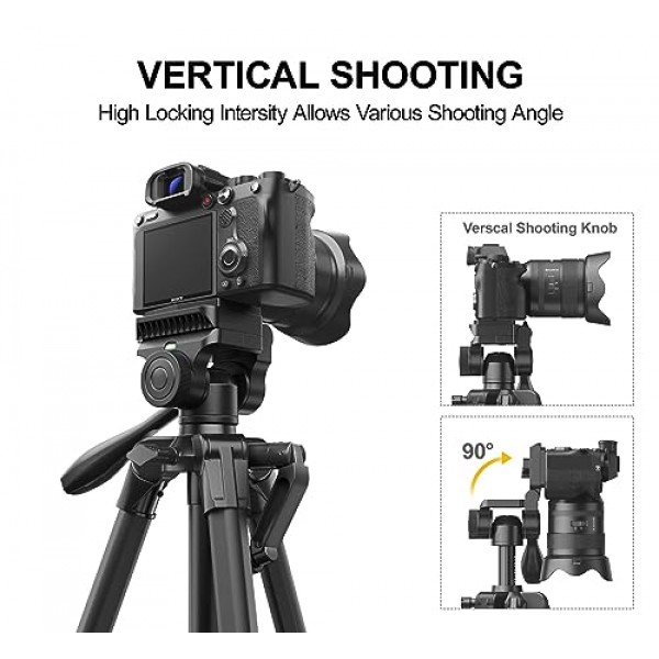 RALENO 카메라용 60인치 삼각대, 사진용 비디오 삼각대(홀더 및 가방 포함), 소형 경량 삼각대(iPhone용)