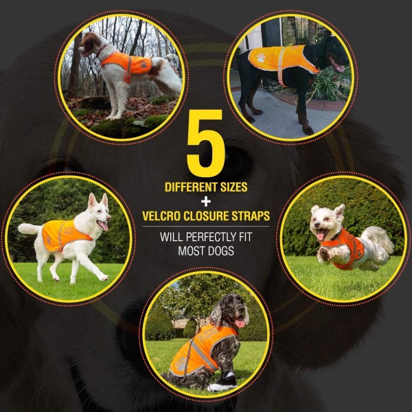 4LegsFriend 개 안전 조끼 (5 사이즈, M) - 야외 활동을 위한 높은 가시성, 낮과 밤의 높은 가시성, 차량 및 사냥 사고로부터 강아지의 시야 확보 | 블레이즈 오렌지 미디엄