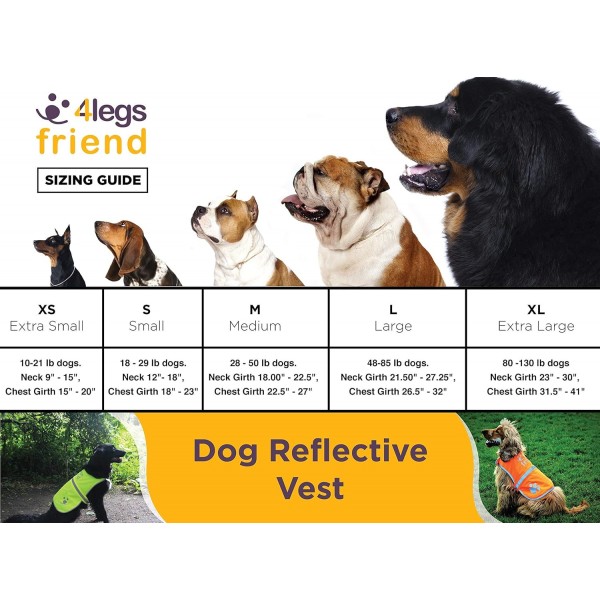 4LegsFriend 개 안전 조끼 (5 사이즈, M) - 야외 활동을 위한 높은 가시성, 낮과 밤의 높은 가시성, 차량 및 사냥 사고로부터 강아지의 시야 확보 | 블레이즈 오렌지 미디엄
