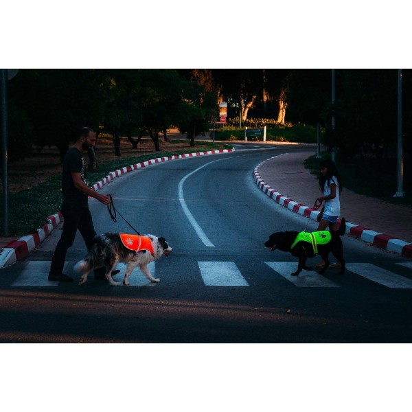 4LegsFriend 개 안전 조끼 (5 사이즈, M) - 야외 활동을 위한 높은 가시성, 낮과 밤의 높은 가시성, 차량 및 사냥 사고로부터 강아지의 시야 확보 | 블레이즈 오렌지 미디엄