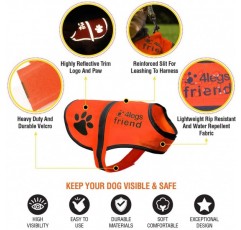 4LegsFriend 개 안전 조끼 (5 사이즈, M) - 야외 활동을 위한 높은 가시성, 낮과 밤의 높은 가시성, 차량 및 사냥 사고로부터 강아지의 시야 확보 | 블레이즈 오렌지 미디엄