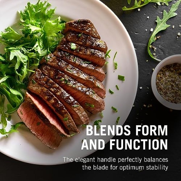 Victorinox Swiss Classic 스테이크 칼 - 주방용품용 조리용 칼 - 인체공학적, 스테인리스 스틸 고기 칼 - 6피스 세트