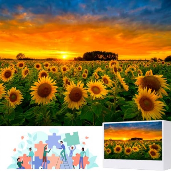 들판의 해바라기 1000개 조각 저녁 퍼즐, 직소 퍼즐 성인 1000개 이상, 여성과 엄마를 위한 해바라기 퍼즐