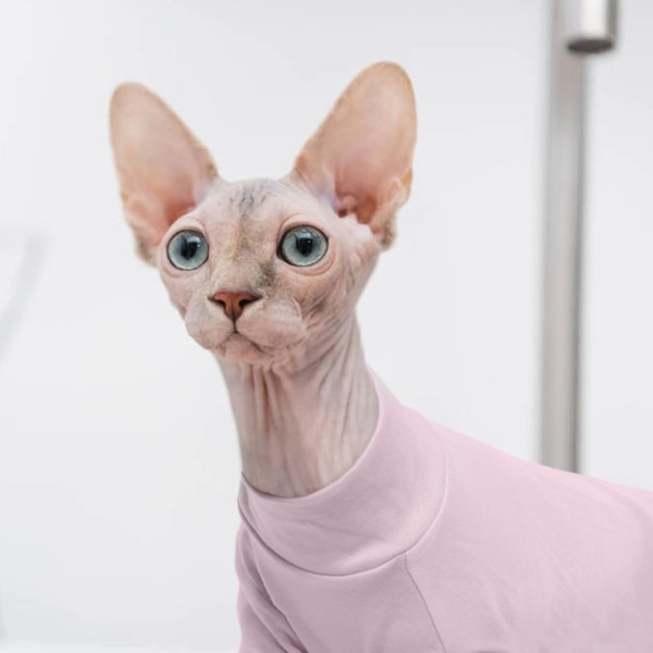 Hjumarayan Sphynx 고양이 옷 여름 털이 없는 고양이 옷, 면 고양이 의상, 통기성 고양이 옷 고양이 잠옷 Sphynx, Cornish Rex, Devon Rex, Peterbalg(Pink,XS) XS(2-3lbs) 핑크
