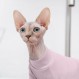 Hjumarayan Sphynx 고양이 옷 여름 털이 없는 고양이 옷, 면 고양이 의상, 통기성 고양이 옷 고양이 잠옷 Sphynx, Cornish Rex, Devon Rex, Peterbalg(Pink,XS) XS(2-3lbs) 핑크