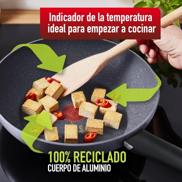 Tefal Natural On Induction G2801902 Wokpfanne, antihaftbeschichtet, 28 cm, Gris Lavinia