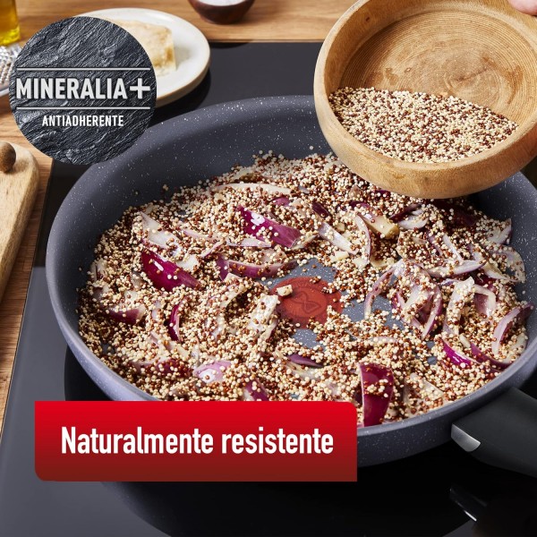 Tefal Natural On Induction G2801902 Wokpfanne, antihaftbeschichtet, 28 cm, Gris Lavinia