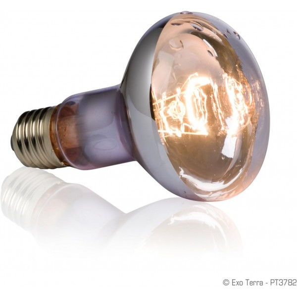 아쿠아 및 젖은 테라리움에 이상적인 Exo Terra Swamp Basking Spot, 튀는 물과 이슬비에 강한 열 램프, R20, 100W, 소켓 E27 100와트