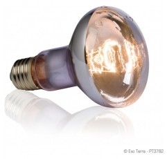 아쿠아 및 젖은 테라리움에 이상적인 Exo Terra Swamp Basking Spot, 튀는 물과 이슬비에 강한 열 램프, R20, 100W, 소켓 E27 100와트