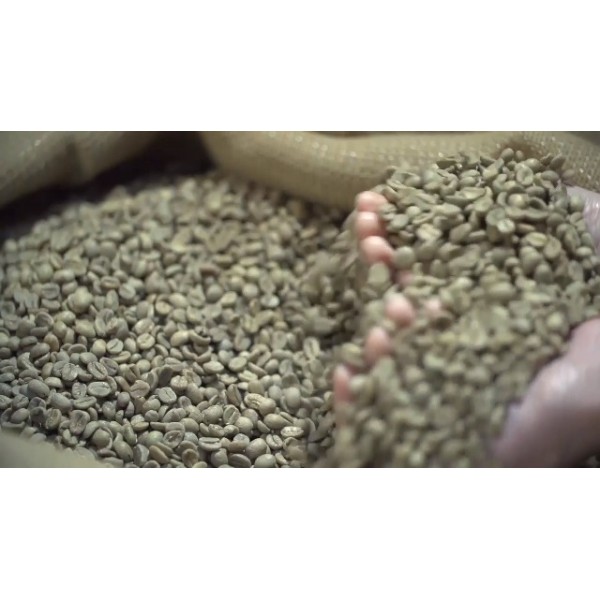 네스프레소 OriginalLine 머신용 베스트프레소 커피 120개 포드 인증 정품 에스프레소 버라이어티 팩, 네스프레소 OriginalLine과 호환되는 포드