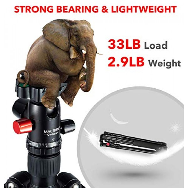 휴대폰 마운트가 포함된 MACTREM 전문 카메라 삼각대, 여행용 62인치 DSLR 삼각대, 초경량 및 안정적인 안정성, 볼 헤드 삼각대 분리형 모노포드(휴대용 가방 포함)(검은색