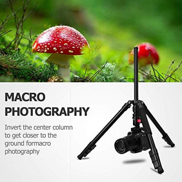 휴대폰 마운트가 포함된 MACTREM 전문 카메라 삼각대, 여행용 62인치 DSLR 삼각대, 초경량 및 안정적인 안정성, 볼 헤드 삼각대 분리형 모노포드(휴대용 가방 포함)(검은색