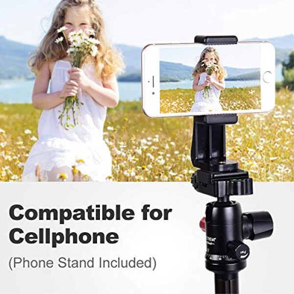 휴대폰 마운트가 포함된 MACTREM 전문 카메라 삼각대, 여행용 62인치 DSLR 삼각대, 초경량 및 안정적인 안정성, 볼 헤드 삼각대 분리형 모노포드(휴대용 가방 포함)(검은색