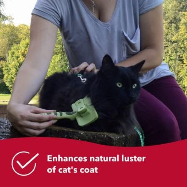 Coastal Pet Safari Cat 셀프 클리닝 슬리커 브러쉬 팩 1개