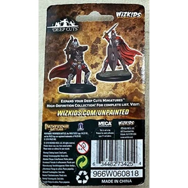 WizKids Pathfinder 딥 컷 도색되지 않은 미니어처: 웨이브 6: 여성 기사/회색 처녀