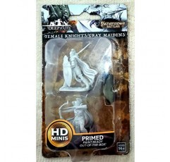 WizKids Pathfinder 딥 컷 도색되지 않은 미니어처: 웨이브 6: 여성 기사/회색 처녀