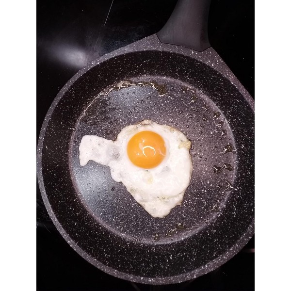 Schäfer 프라이팬 Ø24 cm