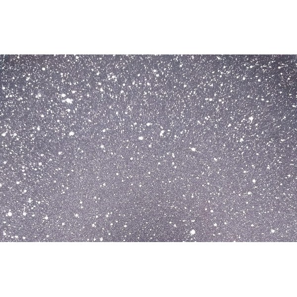 Schäfer 프라이팬 Ø24 cm