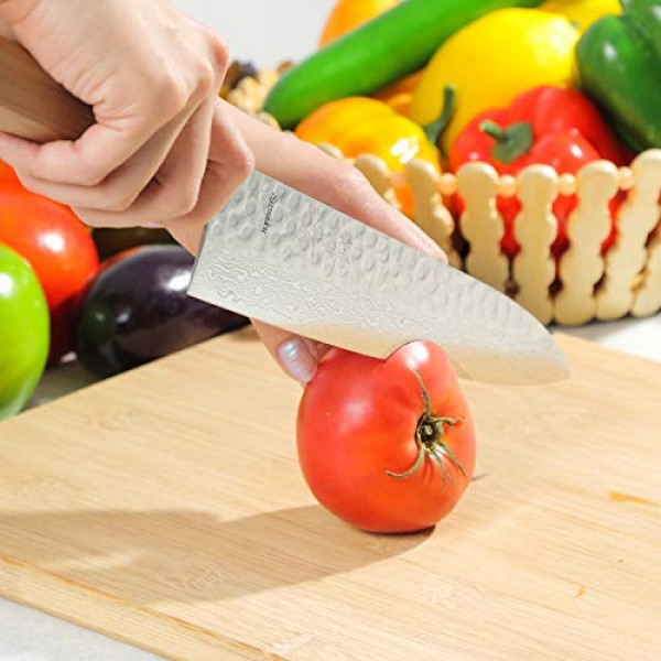 Syosaku 일본 셰프 나이프 해머드 다마스커스 VG-10 46층 팔각형 호두 손잡이, 규토 9.5인치(240mm)