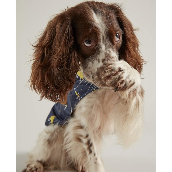 Rosewood Joules Herrenmantel, blau, Rosenholz, Joules Navy Raining Dog Print Water Resistant Dog Coat Navy Blue Medium, Navy Blue, M UK