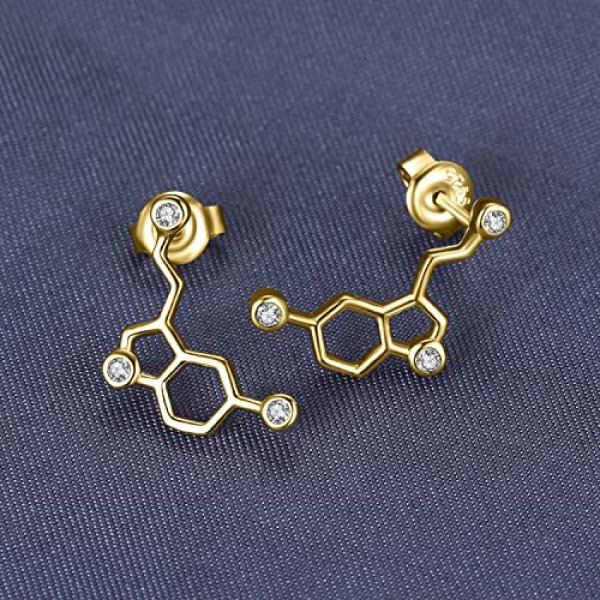 JewelryPalace 도파민 세로토닌 분자 0.2ct 큐빅 지르코니아 스터드 귀걸이 925 스털링 실버 로즈 골드