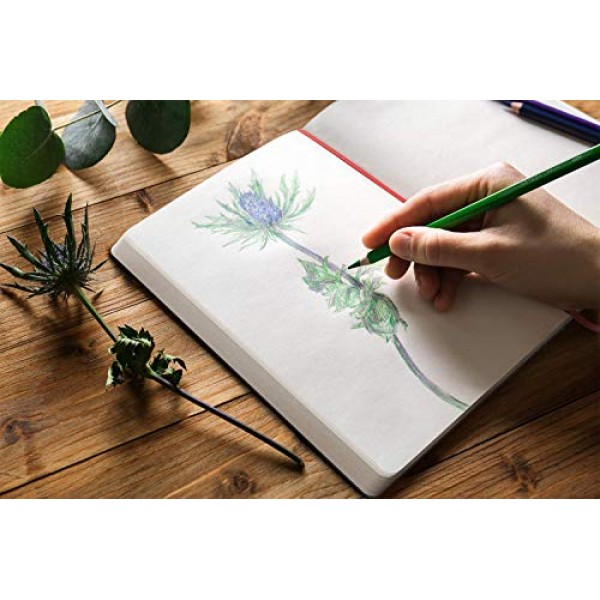 Arteza 8.3x11.7인치 스케치북, 2개 팩, 패드당 100페이지, 118lb/175gsm, 북마크 리본이 있는 하드커버 저널, 확장 가능한 내부 포켓 및 탄성 스트랩, 드라이 미디어용 미술 용