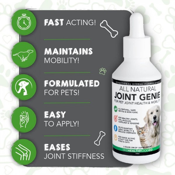 Healthy Dog Co All Natural Joint Genie | 강직을 위한 건강 보조 식품, 노령견 케어 | 악마의 발톱 개 | 효과적인 도움 관절 개 | 100인분 | 공동 케어 개