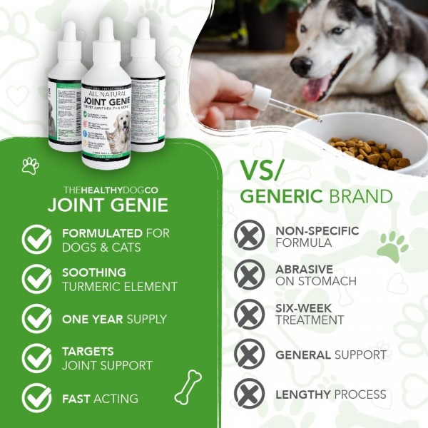 Healthy Dog Co All Natural Joint Genie | 강직을 위한 건강 보조 식품, 노령견 케어 | 악마의 발톱 개 | 효과적인 도움 관절 개 | 100인분 | 공동 케어 개