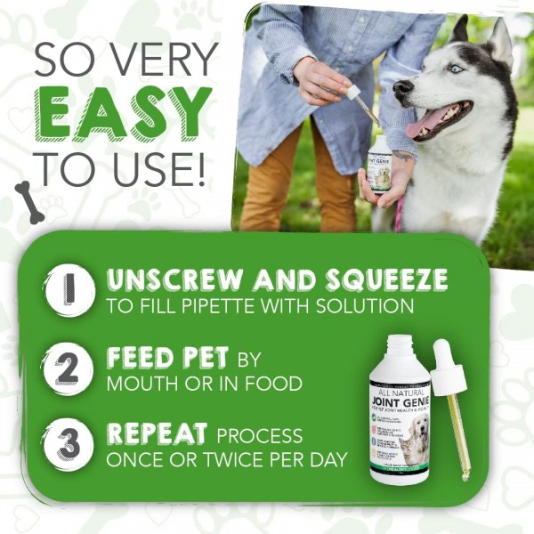 Healthy Dog Co All Natural Joint Genie | 강직을 위한 건강 보조 식품, 노령견 케어 | 악마의 발톱 개 | 효과적인 도움 관절 개 | 100인분 | 공동 케어 개