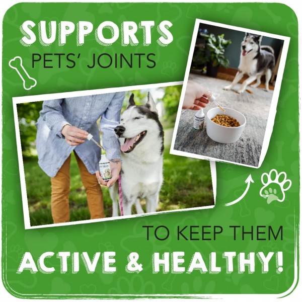 Healthy Dog Co All Natural Joint Genie | 강직을 위한 건강 보조 식품, 노령견 케어 | 악마의 발톱 개 | 효과적인 도움 관절 개 | 100인분 | 공동 케어 개